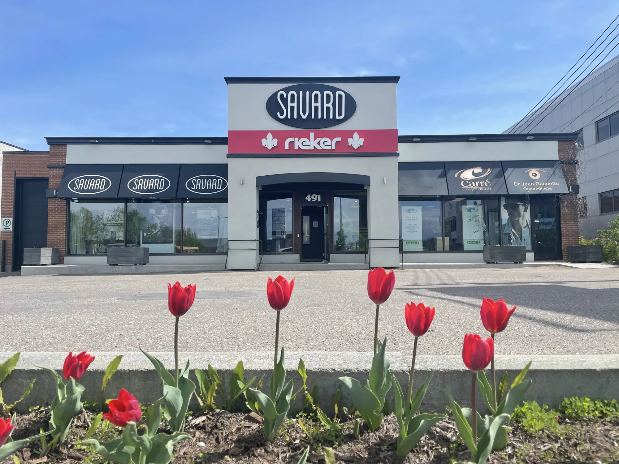 Devanture du magasin Savard avec tulipes rouges.